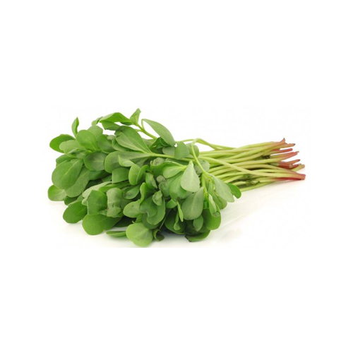 semizotubag